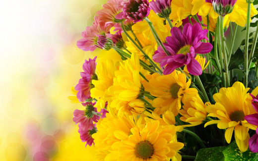 801558 (a): :2800x1750